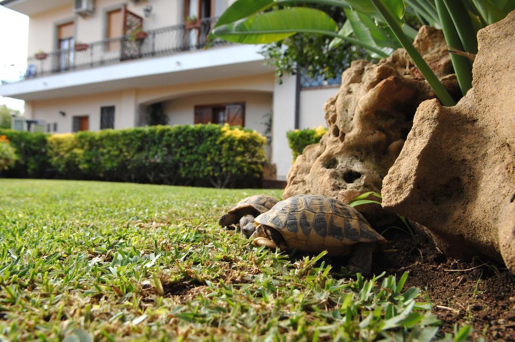 San Pietro Bed & Breakfast โนโต ภายนอก รูปภาพ